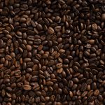 Naslovna fotografija: Arabica robusta razlika razlika med arabico in robusto popoln vodnik coffee — Razlika med arabico in robusto — popoln vodnik