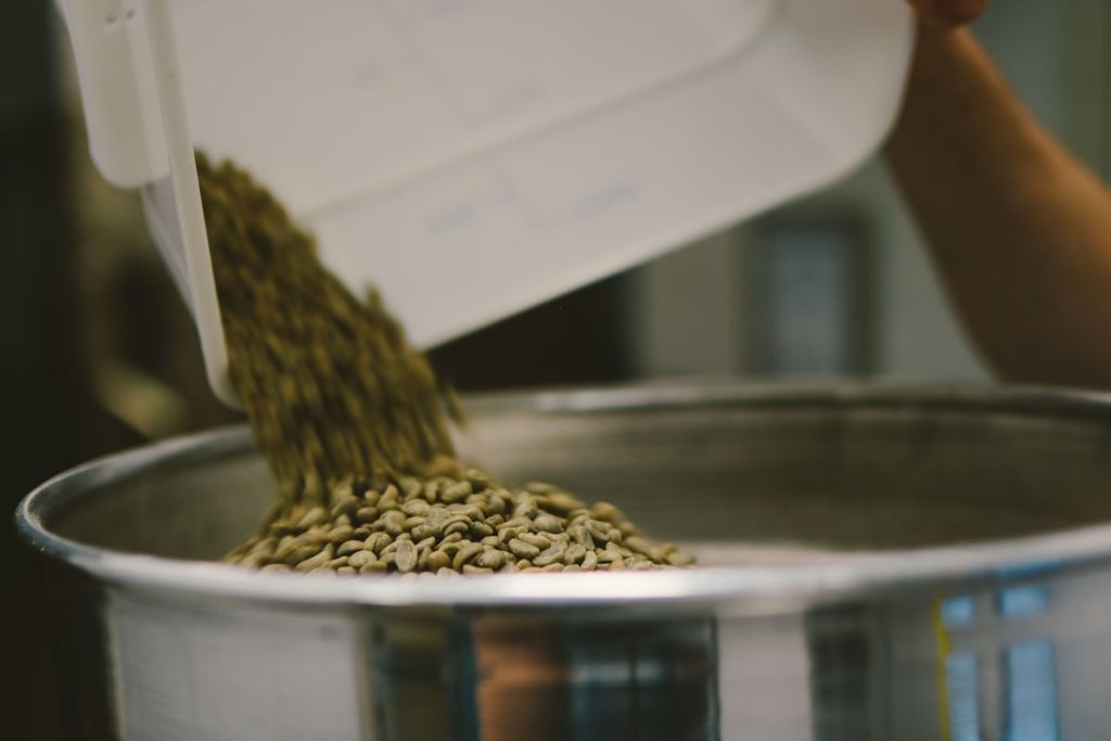 Fotografija: Specialty coffee green beans sorting by hand — Zakaj je specialty kava vredna vsakega evra